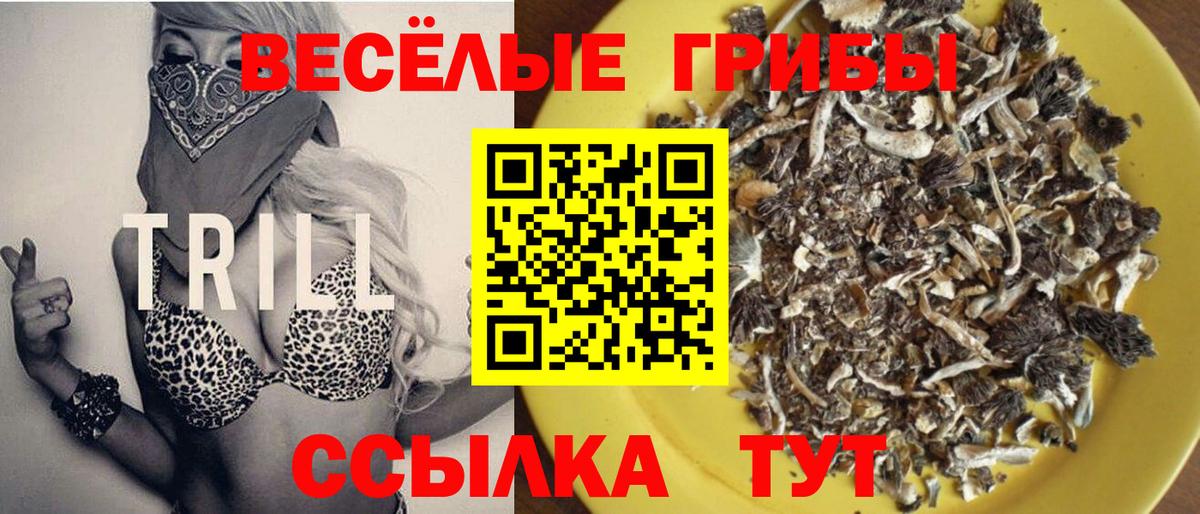 Псилоцибиновые грибы MAGIC MUSHROOMS  Вход с VPN  Южноуральск  Псилоцибиновые грибы MAGIC MUSHROOMS 